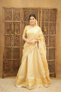 DD725 - Aditi Premium Designer Lehanga