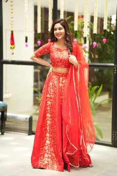 DD580 - Sneha premium Banarasi lehanga