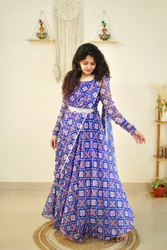 DD712 - Madhuri series2 Simple and elegant drapewear