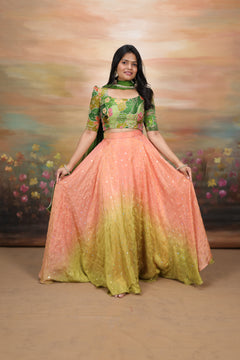 DD1017 - Alina Simple and Elegant Lehanga