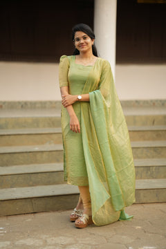 DD902 - Pavi Simple & Elegant kurti