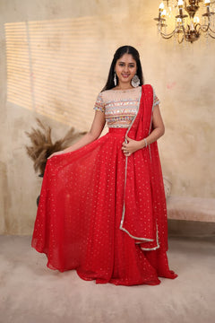 DD1001 - Preeti Pure Organza Lehanga