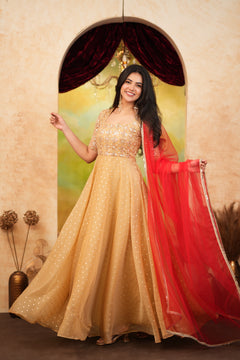 Nandita Premium Soft Butti Organza Anarkali - DD1078