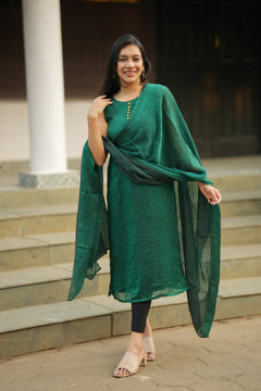 DD903 - Pavi Series Simple & Elegant Kurti