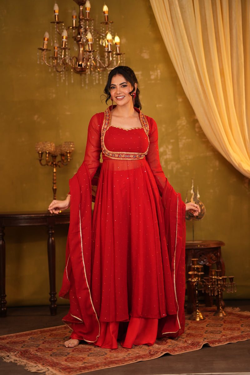 Tiana - Premium Designer Anarkali ( DD1089 )