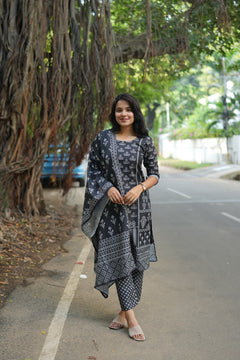 DD590 - Leena Simple and elegant kurti set
